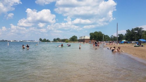 A sunny beach scene with people swimming and relaxing by the water, surrounded by trees and fluffy clouds.