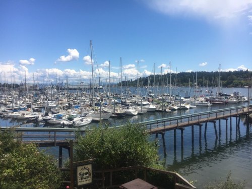 A scenic marina filled with sailboats and yachts under a blue sky with fluffy clouds, surrounded by green hills.