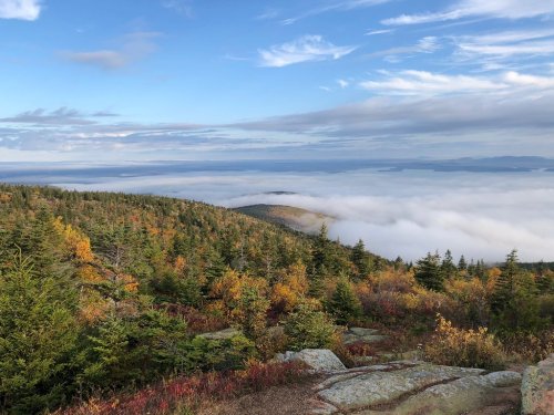 A scenic view of a forested mountain landscape with colorful autumn foliage and clouds rolling over the valleys below.