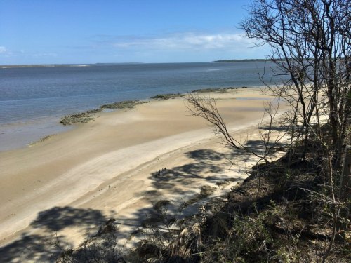 A serene beach scene with calm waters, sandy shore, and sparse trees under a clear blue sky.