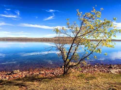 A serene lake reflects a clear blue sky, with a small tree on the shore and rocky terrain in the foreground.