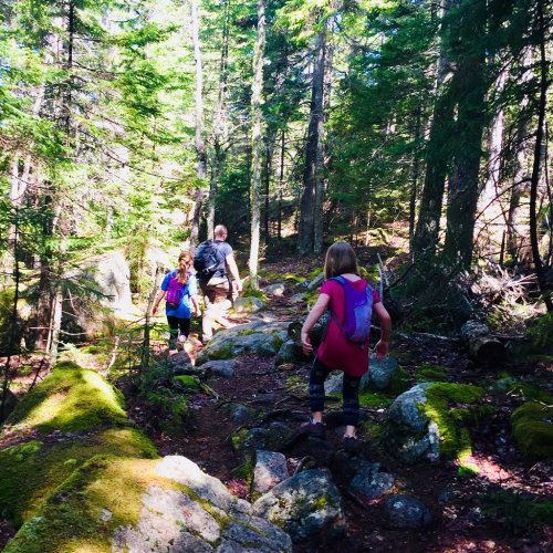 Three hikers navigate a rocky trail through a lush, green forest on a sunny day.