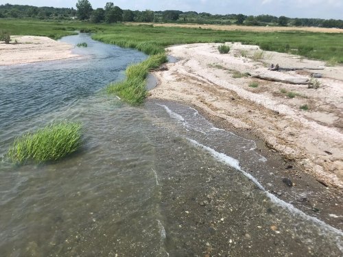 A serene riverbank scene with gentle waves, sandy shores, and lush green grass under a clear sky.