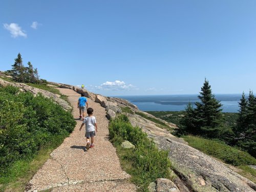 Two children walk along a rocky path with a view of the ocean and trees under a clear blue sky.