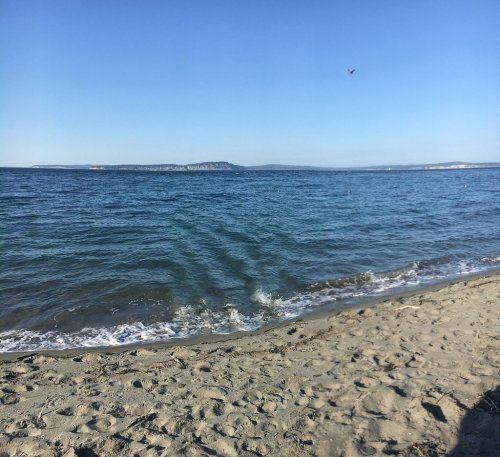 A serene beach scene with gentle waves lapping at the shore under a clear blue sky.