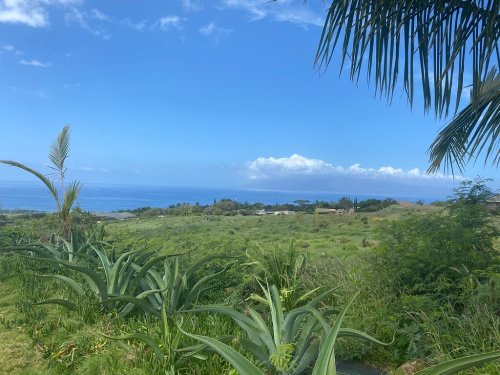 Lush green landscape with agave plants, overlooking a calm ocean and distant clouds under a clear blue sky.
