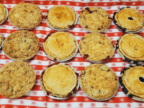A variety of freshly baked pies on a red and white checkered tablecloth, featuring different crust styles and fillings.