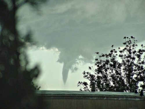 A tornado funnel forming in a cloudy sky, partially obscured by trees in the foreground.