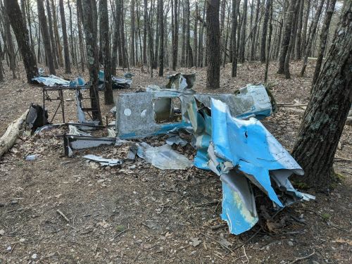 A wrecked, blue aircraft fuselage lies among trees in a forest, surrounded by fallen leaves and debris.