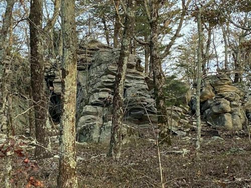 Rock formations surrounded by trees in a wooded area, with scattered leaves on the ground.