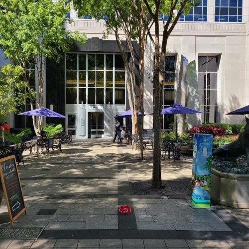 A courtyard with tables and purple umbrellas, surrounded by trees and a fountain, leading to a glass entrance.