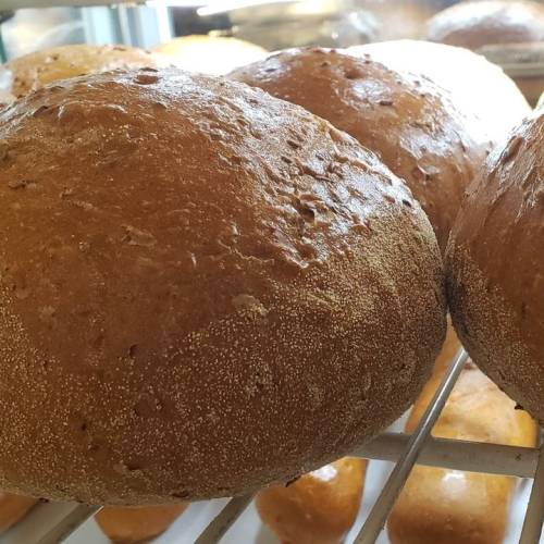 Close-up of freshly baked round bread rolls with a golden-brown crust on a cooling rack.
