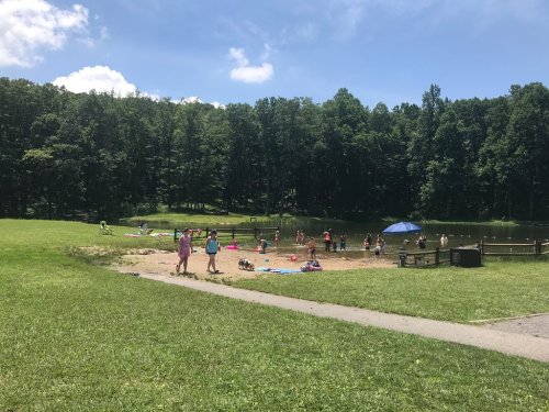 A sunny day at a lake with people swimming, sunbathing, and enjoying the outdoors surrounded by trees.
