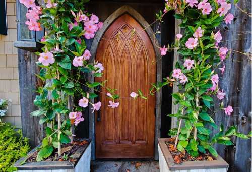 A wooden arched door framed by tall planters filled with pink flowers on either side.