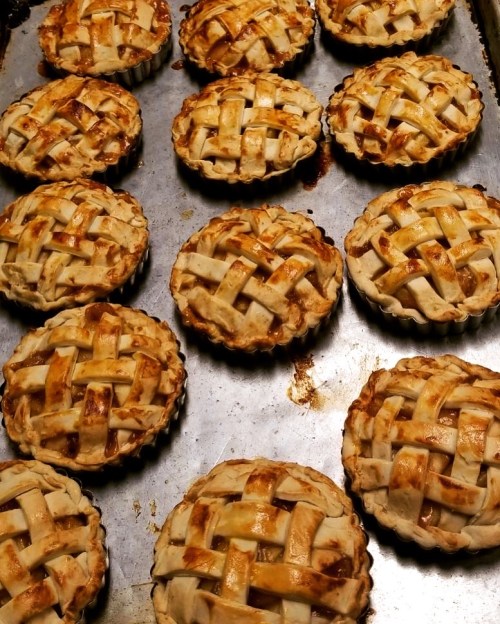 A tray of freshly baked mini apple pies with golden, lattice crusts.