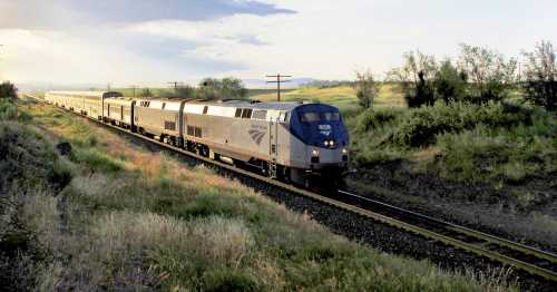 Amtrak train traveling along a grassy landscape under a cloudy sky, with power lines in the background.