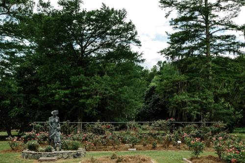 A statue stands in a rose garden surrounded by lush greenery and tall trees under a partly cloudy sky.