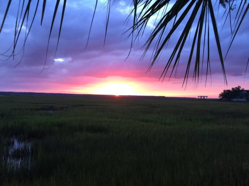 A vibrant sunset over a marsh, with pink and purple hues in the sky and tall grasses in the foreground.