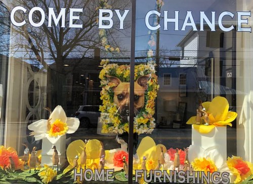 A storefront window display featuring flowers and a large dog portrait, with "Come By Chance" and "Home Furnishings" signs.