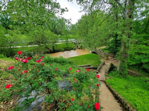 A lush green landscape with a winding stream, stone steps, and blooming red roses in the foreground.