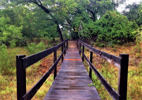 A wooden bridge leads through a lush, green landscape with trees and foliage on either side.