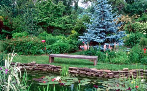 A serene garden scene featuring a pond with lily pads, a wooden bench, and lush greenery with colorful flowers.