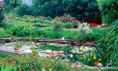 A serene garden scene featuring a pond with lily pads, surrounded by vibrant flowers and lush greenery.