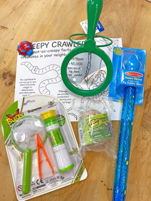 A magnifying glass, bug-catching tools, and a fact sheet about local creepy crawlers on a wooden table.