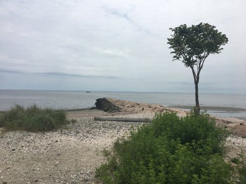 A rocky jetty extends into a calm sea, with a lone tree and grassy areas in the foreground under a cloudy sky.