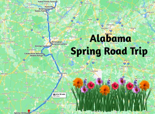 Map of Alabama highlighting a spring road trip route with floral decorations at the bottom.