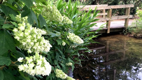 A serene scene featuring white flowers beside a calm stream and a wooden bridge in a lush, green setting.