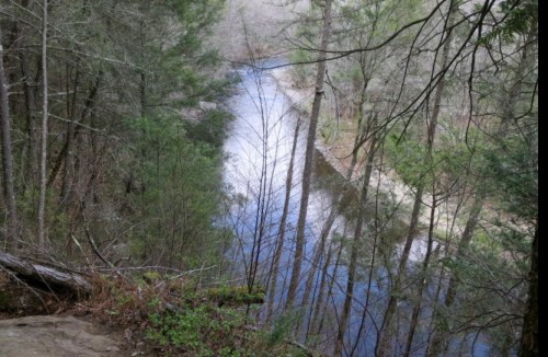 A serene river flows through a forest, reflecting trees and a calm sky, surrounded by lush greenery.