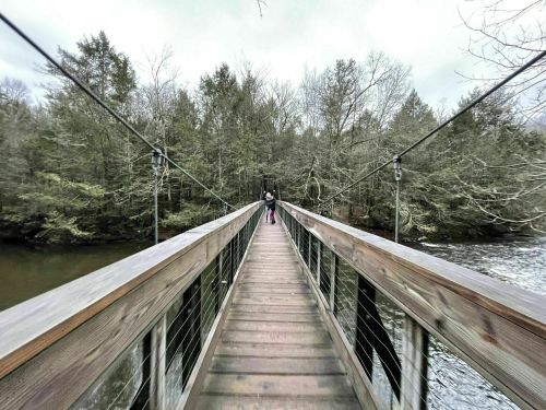 A person walks across a wooden suspension bridge surrounded by trees and a river on a cloudy day.