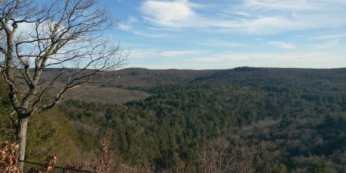 A panoramic view of rolling hills and trees under a clear blue sky, showcasing a serene natural landscape.