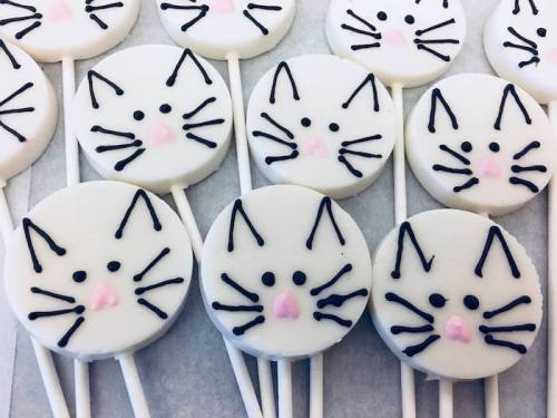 A close-up of round white lollipops decorated with cute cat faces, featuring black whiskers and pink noses.