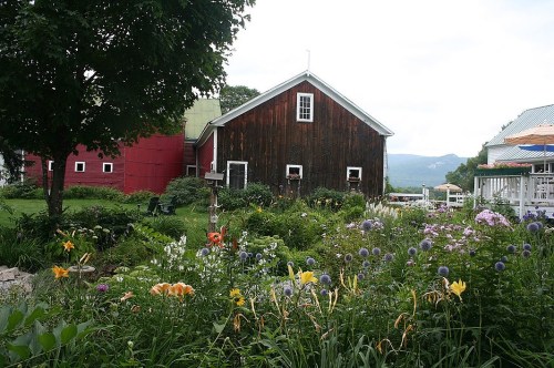 A vibrant garden filled with colorful flowers in front of a rustic barn and a red building under a cloudy sky.