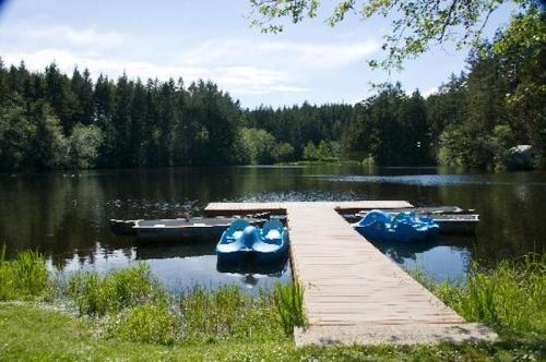 A serene lake with a wooden dock and blue paddle boats, surrounded by lush green trees and clear blue skies.