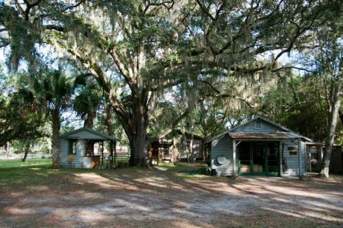 Two rustic wooden buildings surrounded by large trees with Spanish moss, set in a sunny, grassy area.