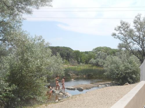 Three people wade through a shallow stream surrounded by lush greenery and trees under a clear blue sky.