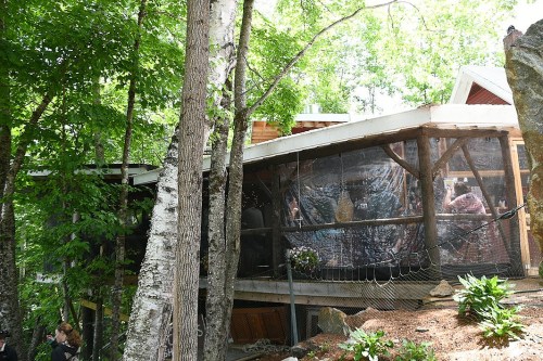 A wooden structure surrounded by trees, featuring large mesh windows and a deck, blending into a natural setting.