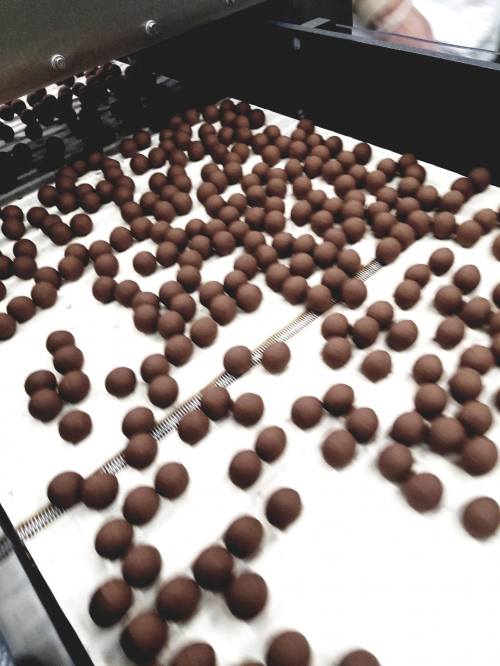 A conveyor belt covered with small, round chocolate balls in a production setting.