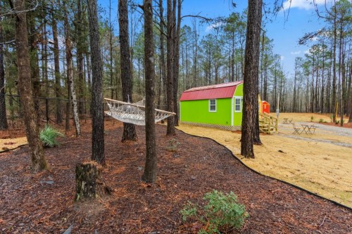 A vibrant green tiny house surrounded by trees, with a hammock hanging nearby and a small red shed in the background.