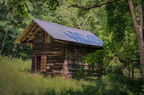 A rustic wooden cabin with a metal roof, surrounded by lush greenery and tall grass.