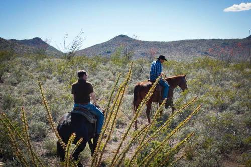 Two cowboys on horseback ride through a desert landscape with mountains in the background and sparse vegetation.