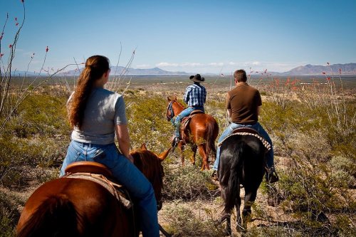 Three horseback riders view a scenic landscape with mountains in the distance, surrounded by desert vegetation.