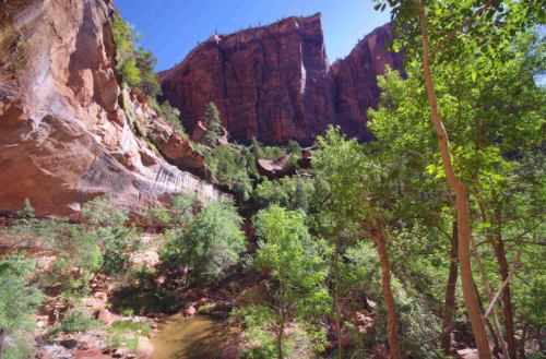 A scenic view of towering red rock cliffs surrounded by lush green trees and a small stream in a canyon.