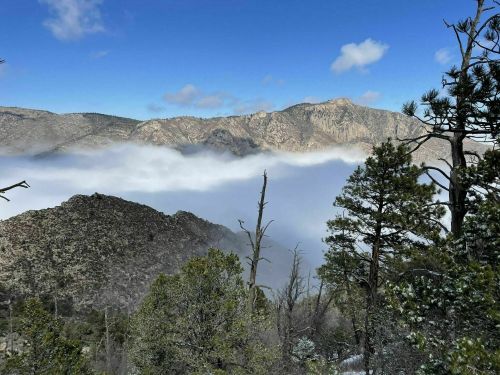 A scenic view of mountains partially shrouded in clouds, with trees in the foreground and a clear blue sky above.