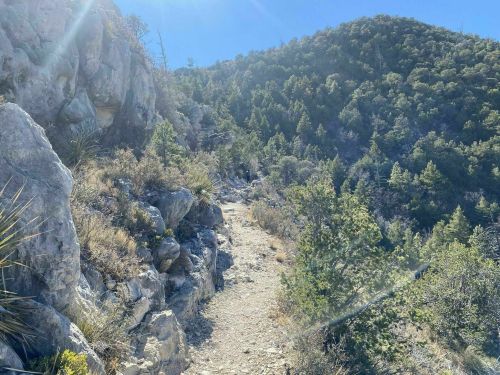 A rocky trail winds through a mountainous landscape with greenery under a clear blue sky.