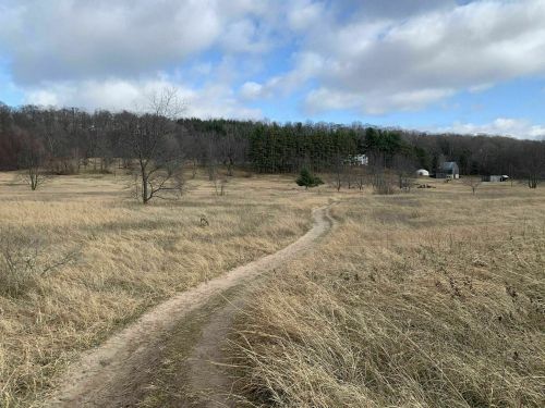 A winding dirt path through a grassy field, with trees and a house in the background under a cloudy sky.