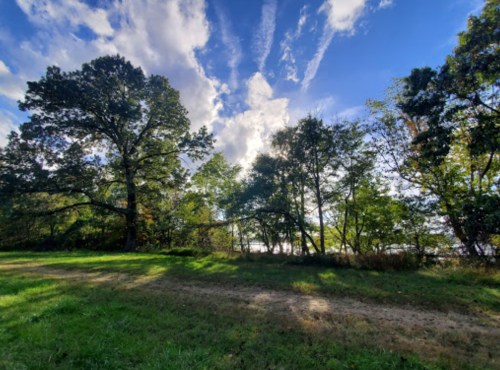 A scenic view of a grassy area with trees under a blue sky with clouds, near a body of water.